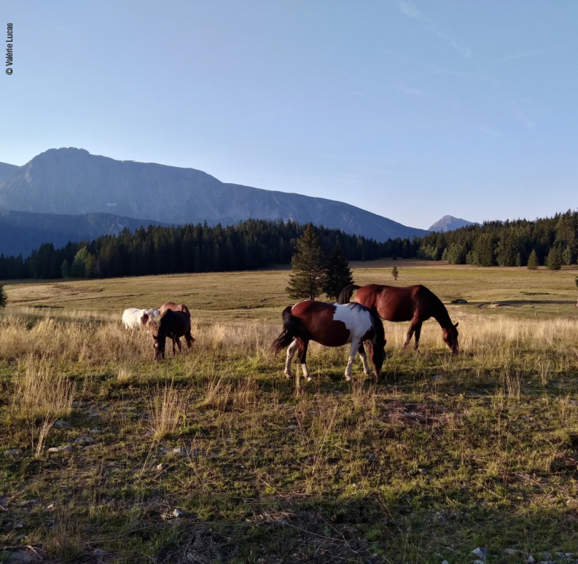 Les 4 Massifs Les 4 Massifs
