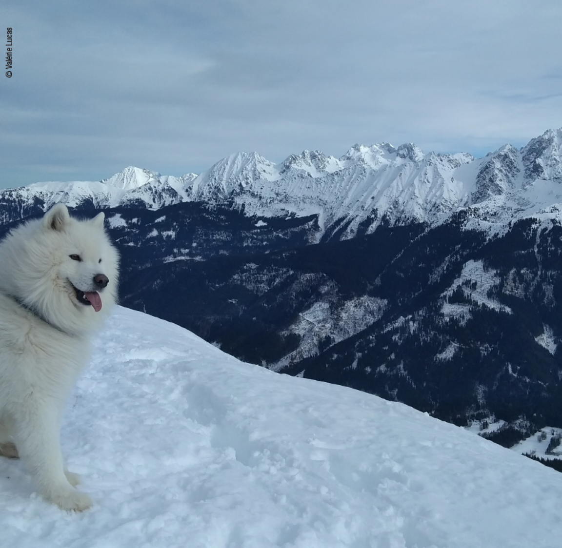 Les 4 Massifs Les 4 Massifs