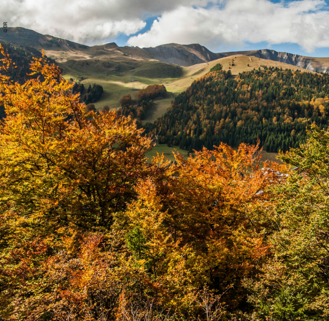 Les 4 Massifs Les 4 Massifs