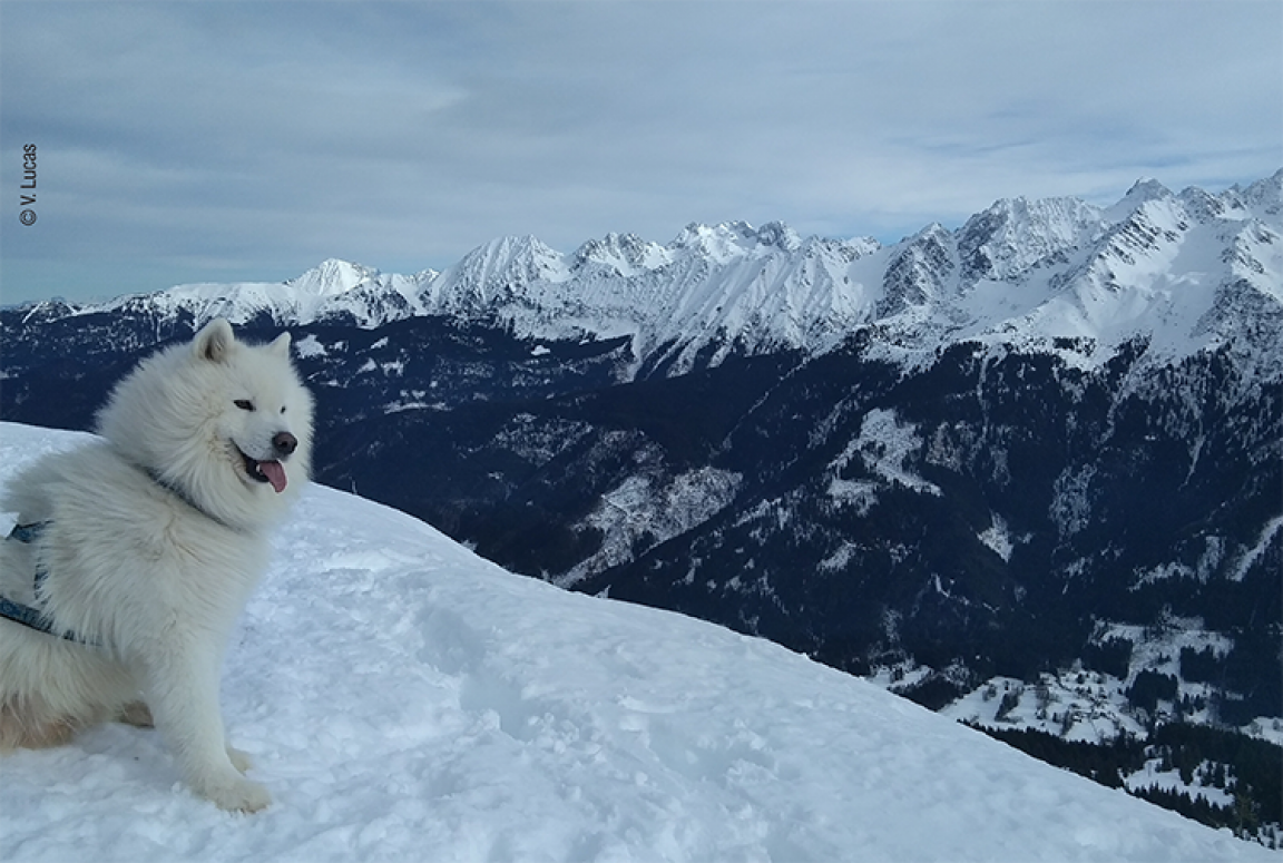 Les 4 Massifs