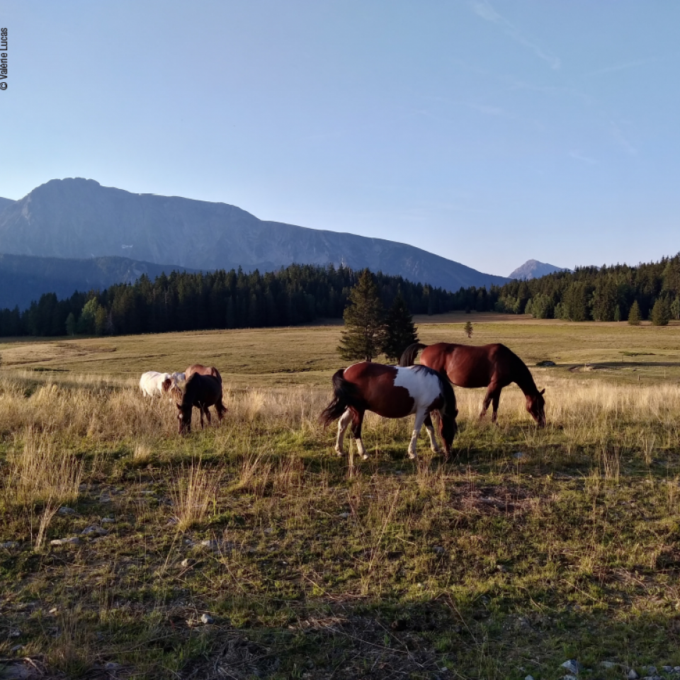 Les 4 Massifs Les 4 Massifs