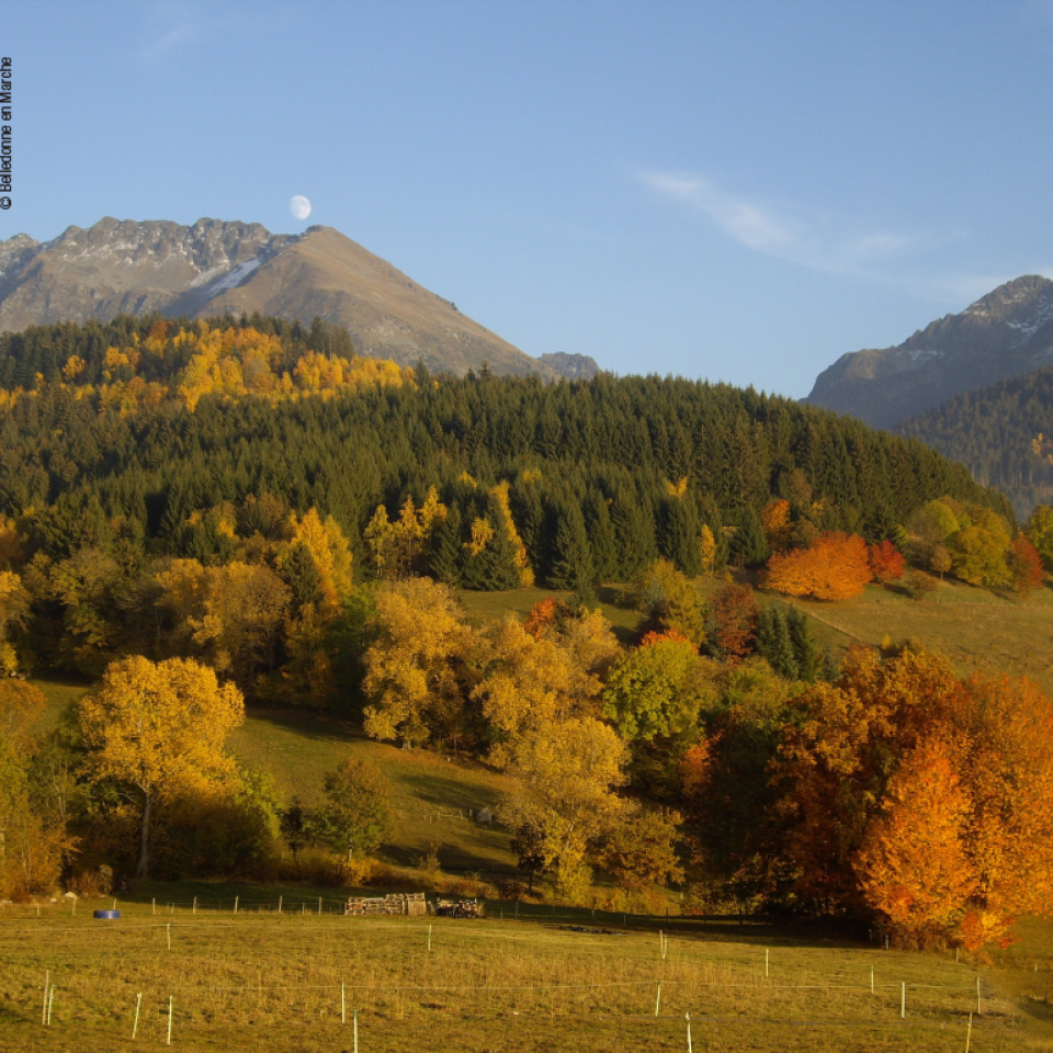 Les 4 Massifs Les 4 Massifs