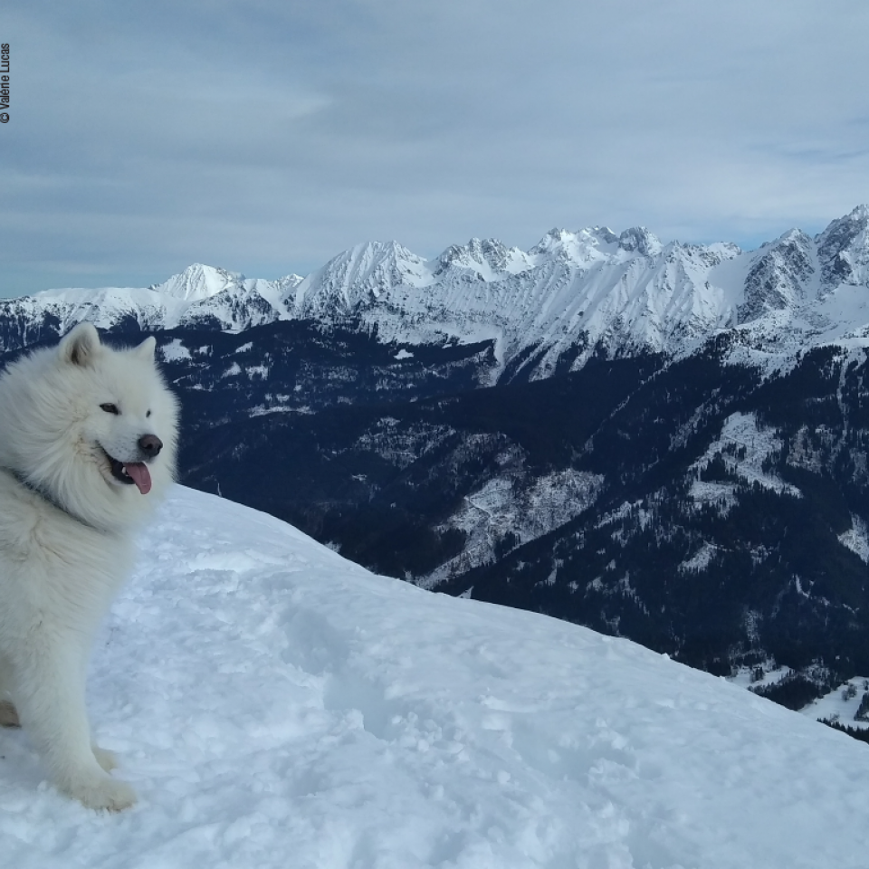 Les 4 Massifs Les 4 Massifs