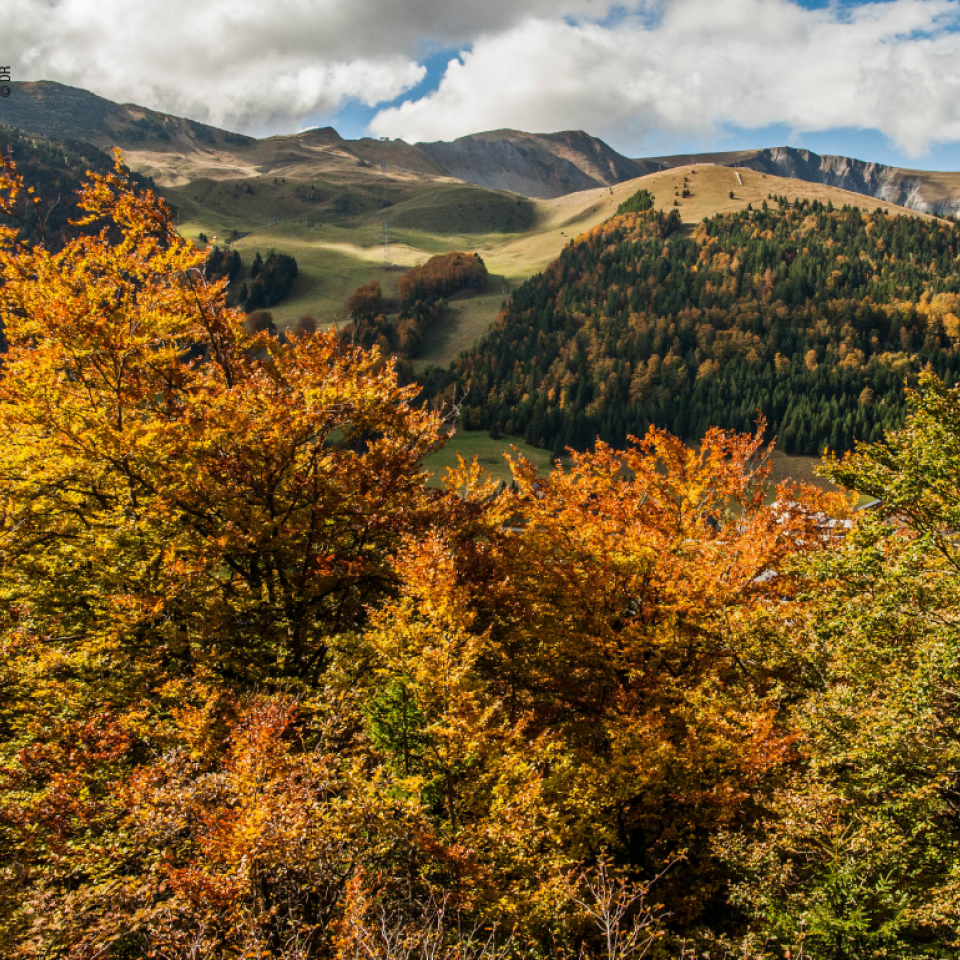 Les 4 Massifs Les 4 Massifs